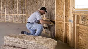 Best Wall Insulation Installation  in Worth, IL